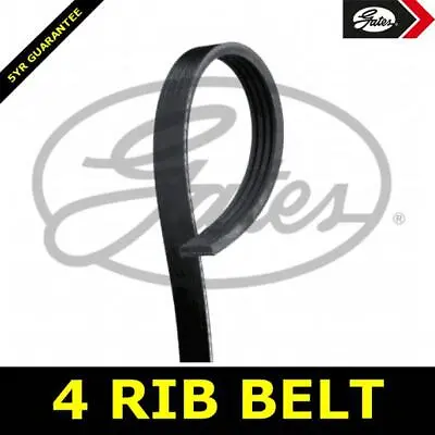 Power Steering Belt Ribbed FOR NISSAN KUBISTAR 03->09 1.2 NO AC D4F712 D7F764 • £15.01